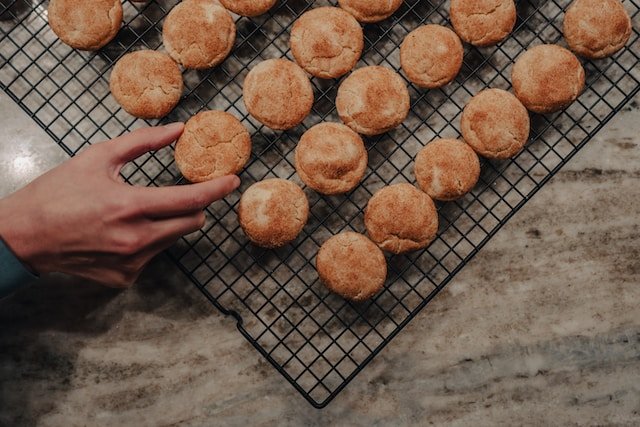 Snickerdoodle Recipe For 4 In Grams And Ml Measurements